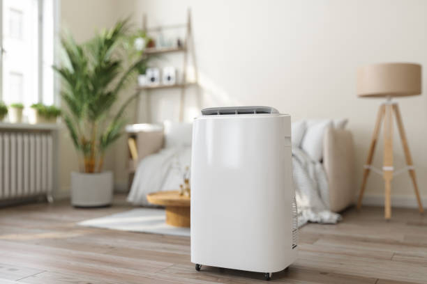 Best Ductless Mini-Split Systems in Mahtomedi, MN